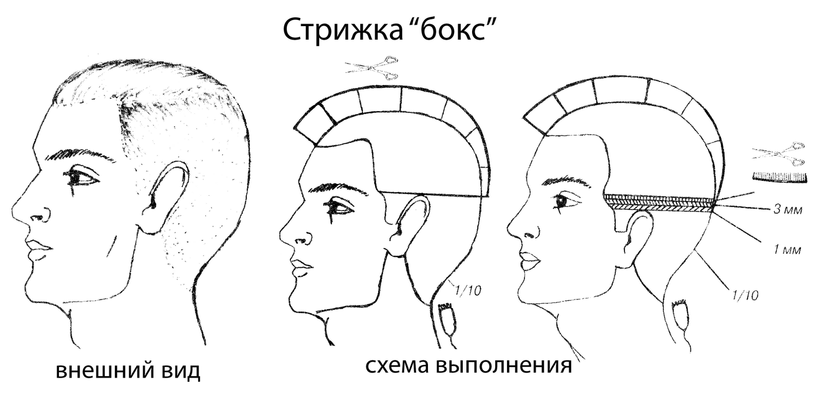 как стричь дома схема (100) фото